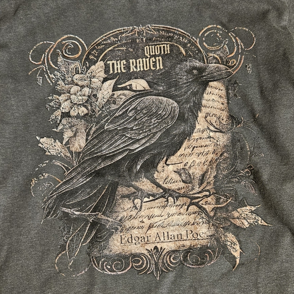 Raven Edgar Allan Poe Small Gray Long Sleeve Tshirt